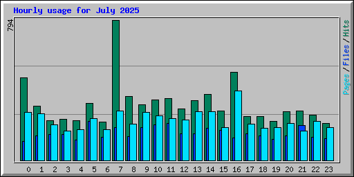 Hourly usage for July 2025
