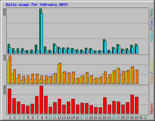 Daily usage for February 2024