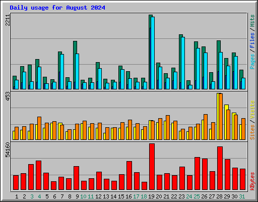 Daily usage for August 2024