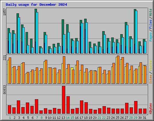 Daily usage for December 2024