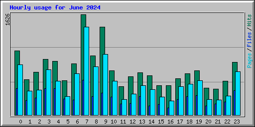 Hourly usage for June 2024