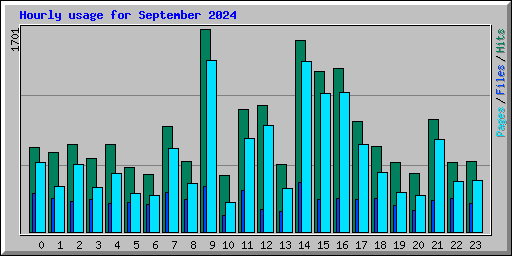 Hourly usage for September 2024