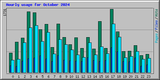 Hourly usage for October 2024