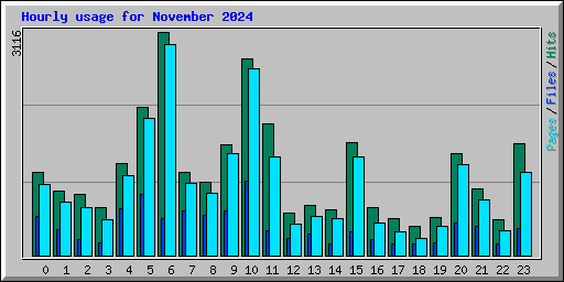 Hourly usage for November 2024