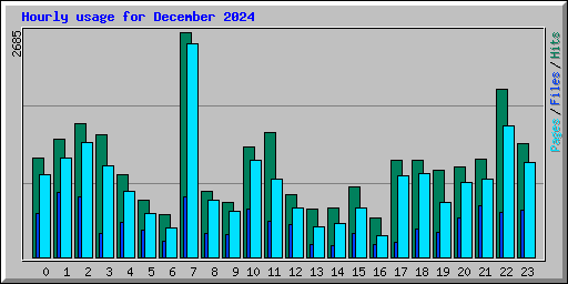 Hourly usage for December 2024