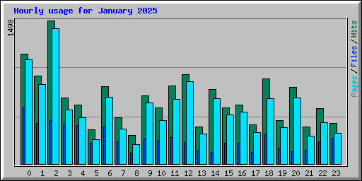 Hourly usage for January 2025