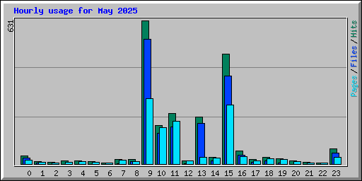 Hourly usage for May 2025