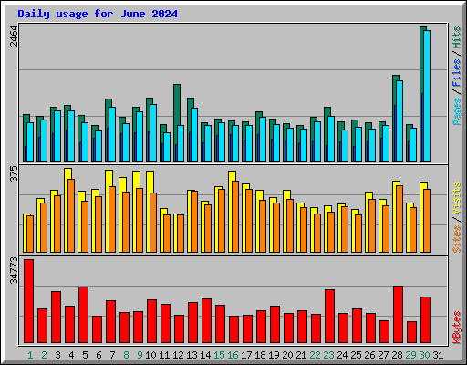 Daily usage for June 2024