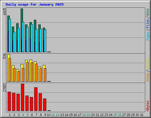 Daily usage for January 2025