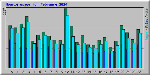 Hourly usage for February 2024