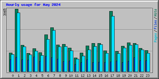 Hourly usage for May 2024