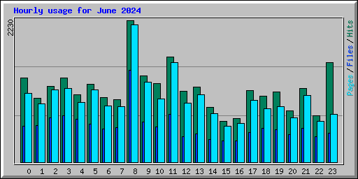 Hourly usage for June 2024