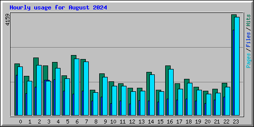 Hourly usage for August 2024