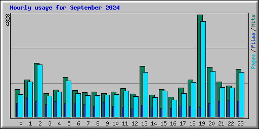 Hourly usage for September 2024