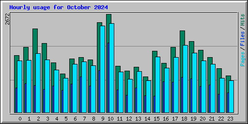 Hourly usage for October 2024