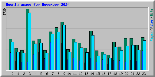 Hourly usage for November 2024