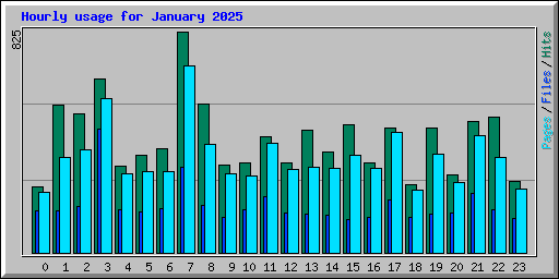 Hourly usage for January 2025