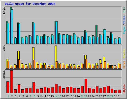 Daily usage for December 2024