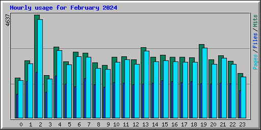 Hourly usage for February 2024