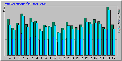 Hourly usage for May 2024