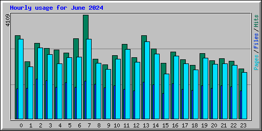 Hourly usage for June 2024