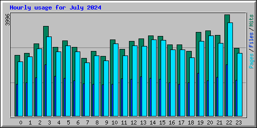 Hourly usage for July 2024