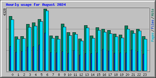 Hourly usage for August 2024