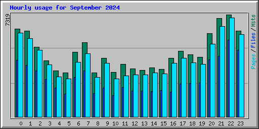 Hourly usage for September 2024