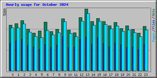 Hourly usage for October 2024