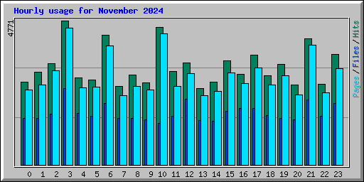 Hourly usage for November 2024