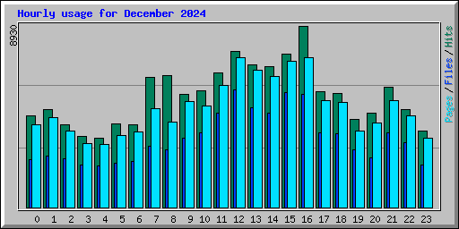 Hourly usage for December 2024