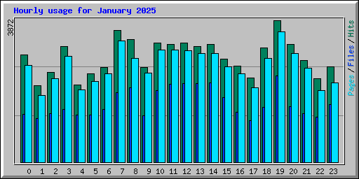 Hourly usage for January 2025