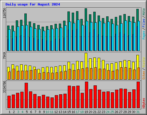 Daily usage for August 2024