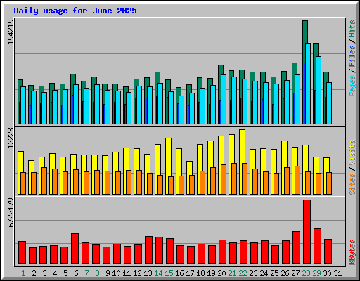 Daily usage for June 2025