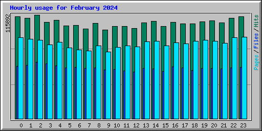 Hourly usage for February 2024