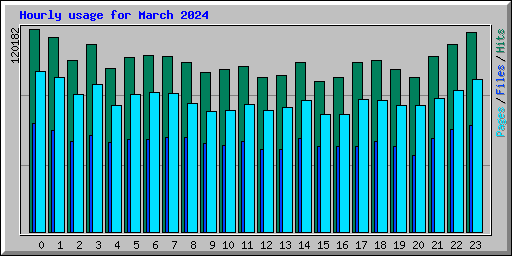 Hourly usage for March 2024