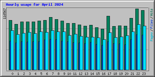 Hourly usage for April 2024