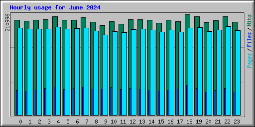 Hourly usage for June 2024