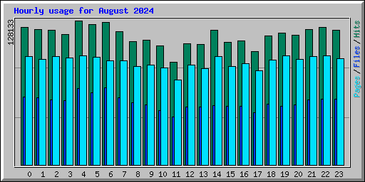 Hourly usage for August 2024