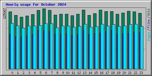 Hourly usage for October 2024