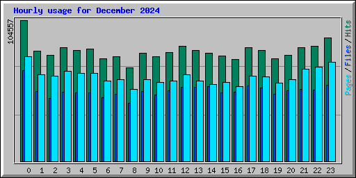 Hourly usage for December 2024