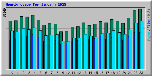 Hourly usage for January 2025