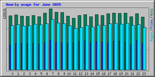 Hourly usage for June 2025